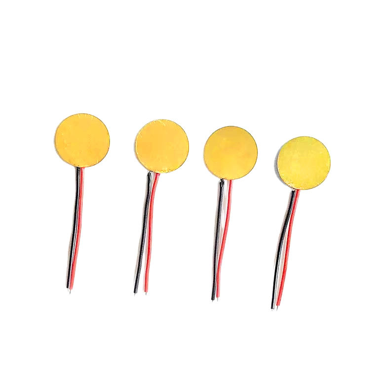 Piezo Ceramic Disc FT-12T-8.0A1-C12