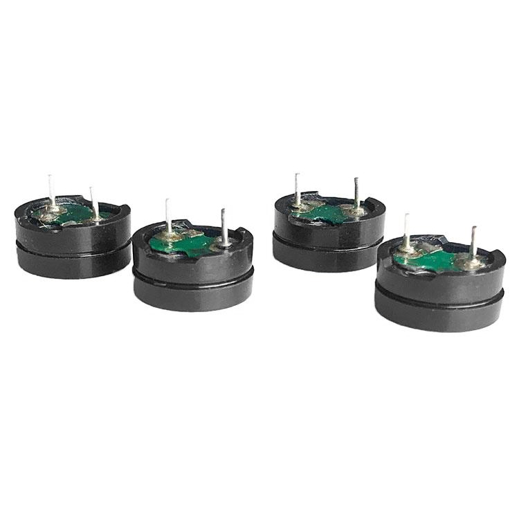 Magnetic Passive Buzzer YN-DCW12055-16-2003P6.5