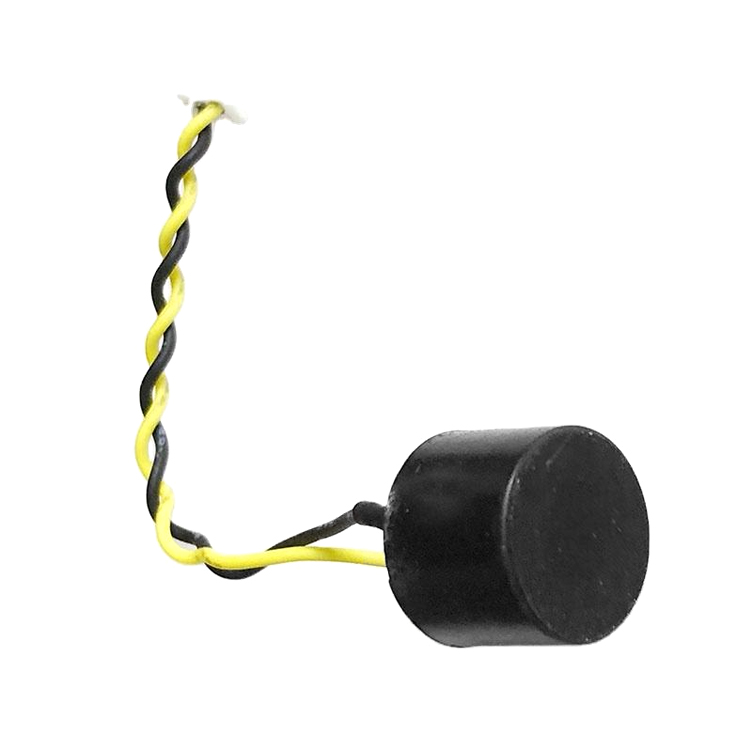 Magnetic Active Buzzer YN-DCY12095-2303WD60