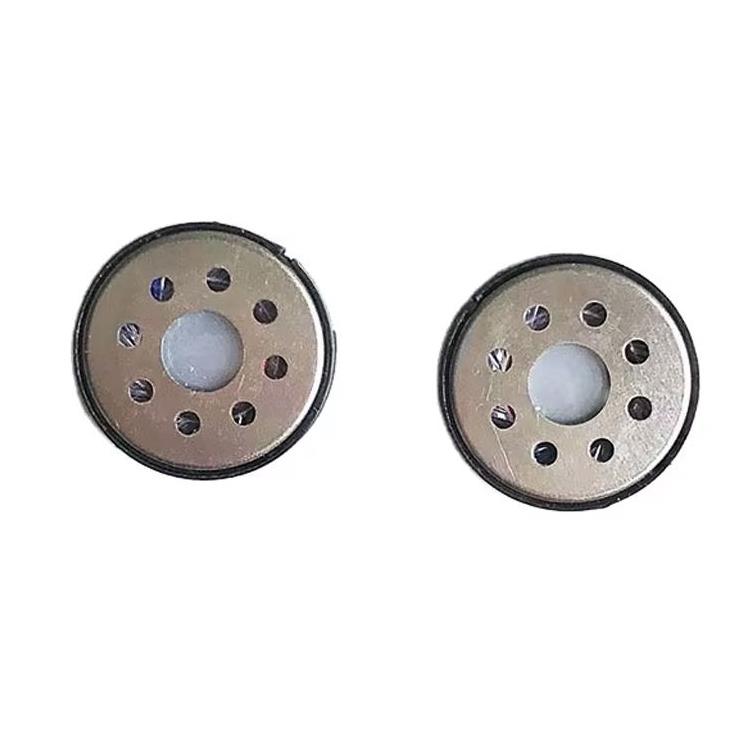 Dynamic Speaker YN16D-08005